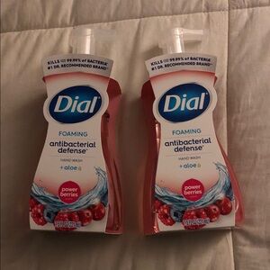 Dial Foaming Antibacterial Hand Wash with Aloe power berries 2x